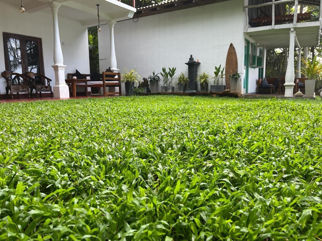 Beach House Kalukatiya - Family Villa, Seaview Room, Garden Room Dikwella Ngoại thất bức ảnh