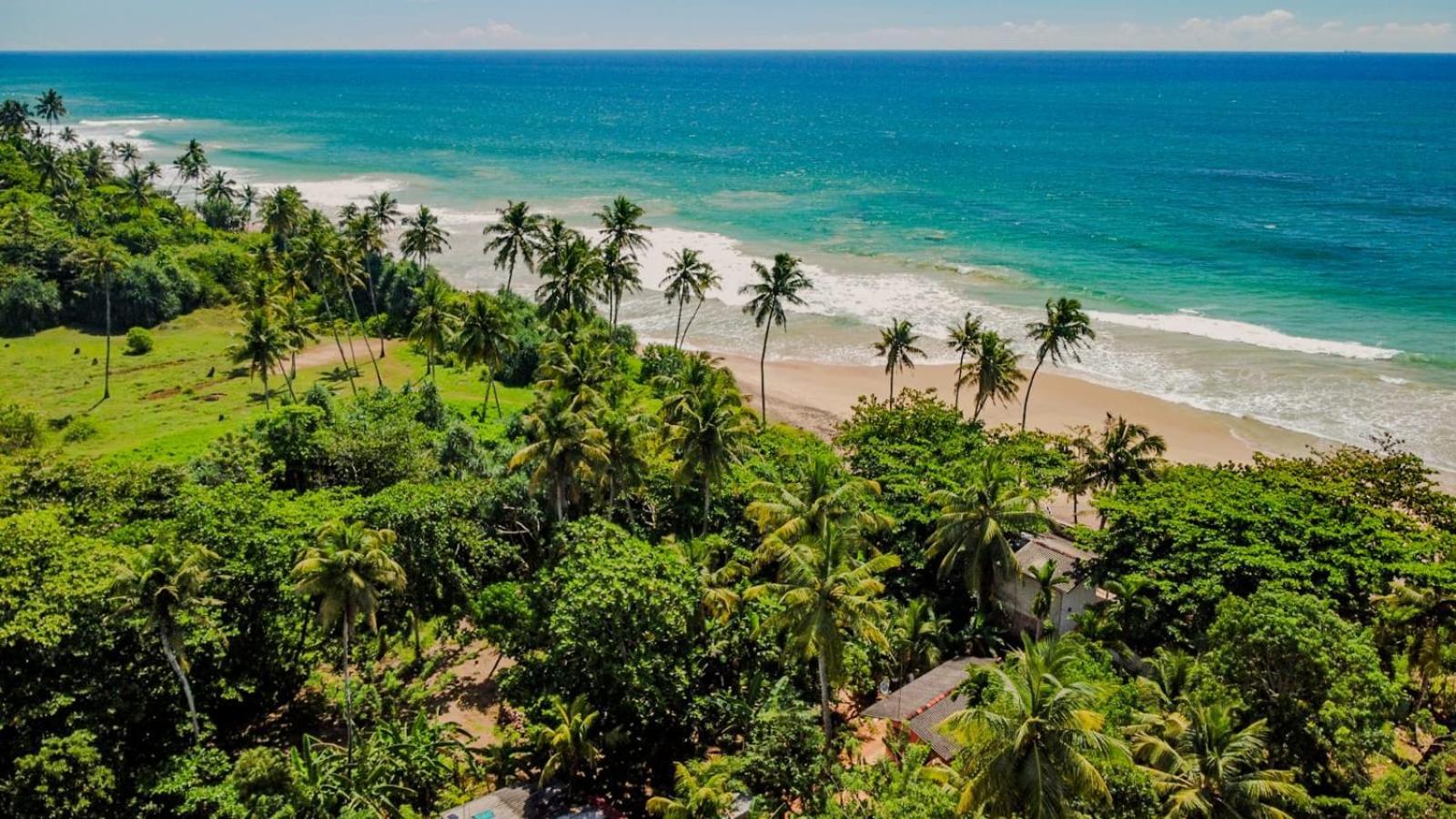 Beach House Kalukatiya - Family Villa, Seaview Room, Garden Room Dikwella Ngoại thất bức ảnh